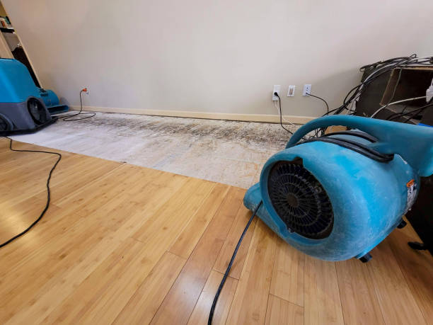 Professional Flood Damage Cleanup technician working in Tipton, MI